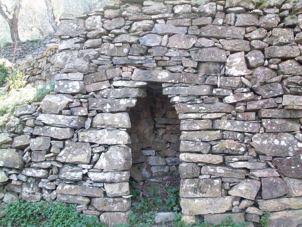 Alloggio per agriturismo Immerso Nel *