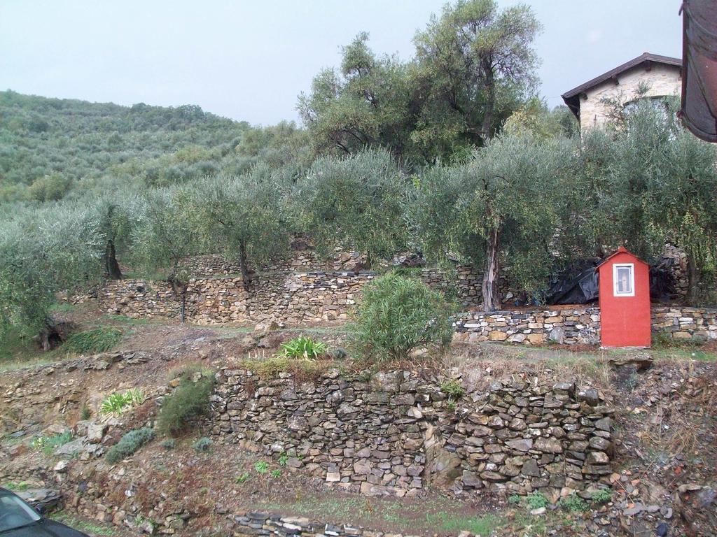 Alloggio per agriturismo Immerso Nel *