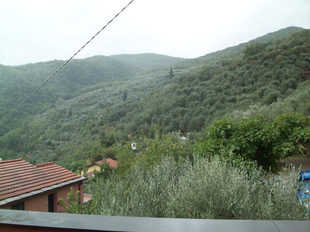 Immerso Nel Chiusavecchia