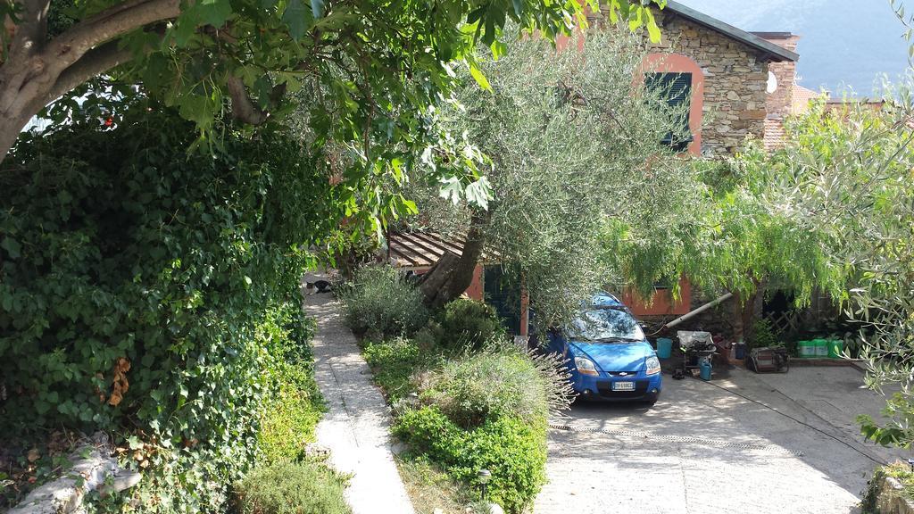 Alloggio per agriturismo Immerso Nel