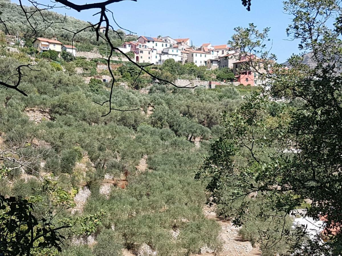 Alloggio per agriturismo Immerso Nel
