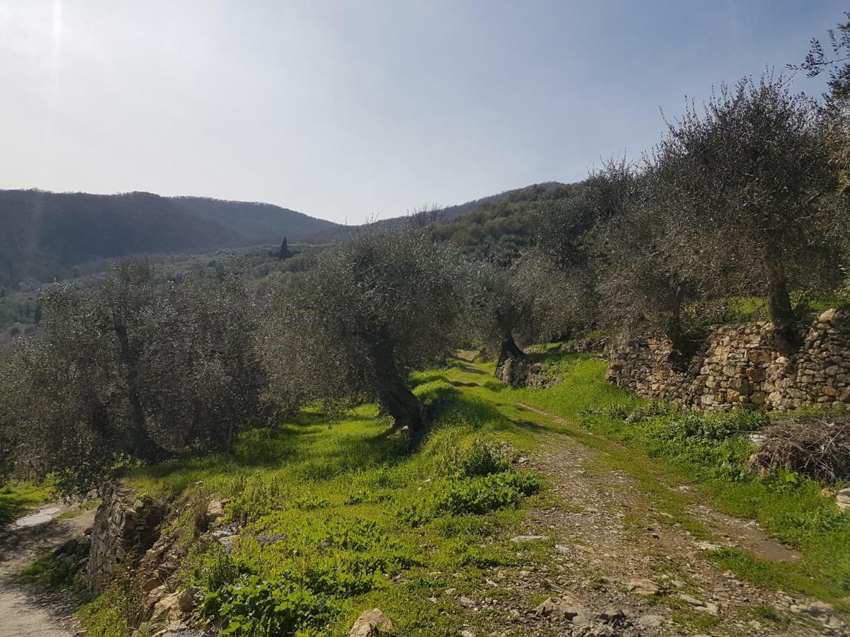Alloggio per agriturismo Immerso Nel Chiusavecchia