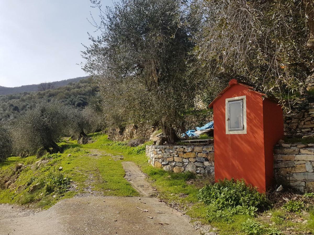 Alloggio per agriturismo Immerso Nel Chiusavecchia